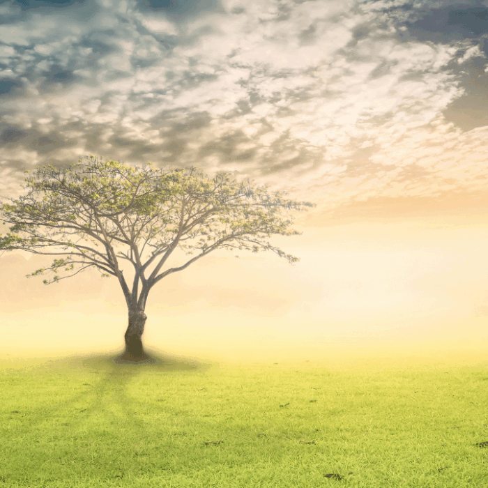 #6: Ways to protect the environment as a designer